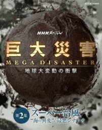 NHKスペシャル 巨大災害 MEGA DISASTER 地球大変動の衝撃 第2集 スーパー台風”海の異変”の最悪シナリオ [Blu-ray]