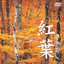 紅葉-もみじ- [DVD]