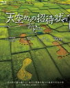 詳しい納期他、ご注文時はお支払・送料・返品のページをご確認ください発売日2015/6/3天空からの招待状［BD］ ジャンル 洋画ドキュメンタリー 監督 チー・ポーリン 出演 撮影期間3年—魂を削り、日々空から台湾の様々な姿を撮り続けた一人の男が人生を懸けて挑んだ、愛する大地との対峙したドキュメンタリー作品!封入特典スリーブケース（初回生産分のみ特典）特典映像特典映像関連商品2014年公開の洋画 種別 Blu-ray JAN 4527427811546 収録時間 93分 組枚数 1 製作年 2013 製作国 台湾 字幕 日本語 音声 日本語リニアPCM（5.1ch）中国語リニアPCM（5.1ch） 販売元 アミューズソフト登録日2015/03/13