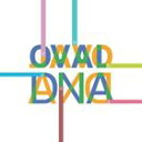 オヴァル / OvalDNA（輸入盤国内仕様／CD＋DVD-ROM） [CD]