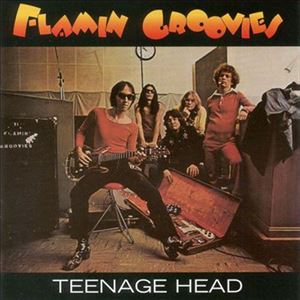 ザ・フレイミン・グルーヴィーズ / FLAMINGO／TEENAGE HEAD [CD]