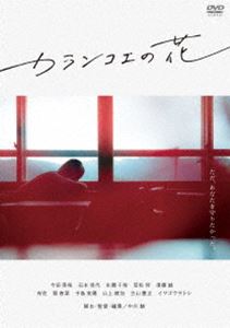 ����󥳥��β� [DVD]