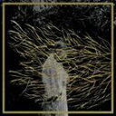 A FOREST SWORDS / ENGRAVINGS [CD]