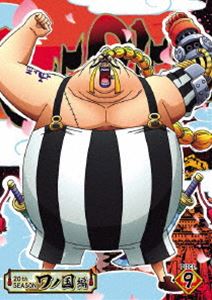 ONE PIECE s[X 20THV[Y m piece.9 [DVD]