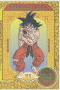 DRAGON BALL ＃25 [DVD]