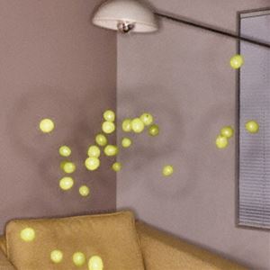 土岐麻子 / Lonely Ghost [CD]