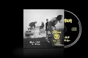 Artist Name: U - 輸入盤 SCRATCH / PULL LIKE A DOG [CD]