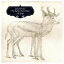 ͢ JAMES YORKSTON AND THE BIG EYE FAMILY PLAYERS / FOLK SONGS [CD]