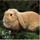 川嶋あい / 春の夢 [CD]