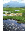 詳しい納期他、ご注文時はお支払・送料・返品のページをご確認ください発売日2013/1/25NHKスペシャル 奇跡の湿原 尾瀬 ジャンル 趣味・教養カルチャー／旅行／景色 監督 出演 日本人が愛してやまない天空の楽園・尾瀬ヶ原。そのうるおいの源は、半年以上湿原を覆う大量の雪。雪解けの頃、白い雪面が赤く染まる謎の現象“アカシボ”が現れる。その謎の解明に挑む科学者が発見した生き物とは…。冬から初夏にかけての知られざる尾瀬の様々な「時」の流れを余すことなく描きながら、最新の研究調査を交え雪が育んだ奇跡の湿原の物語へと誘う。封入特典取材記関連商品NHKスペシャル一覧 種別 DVD JAN 4988066192630 収録時間 59分 カラー カラー 組枚数 1 製作年 2012 製作国 日本 音声 DD（ステレオ） 販売元 NHKエンタープライズ登録日2018/01/05