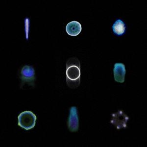 カルマ アリエル アサトーン オー詳しい納期他、ご注文時はお支払・送料・返品のページをご確認ください発売日2025/2/14Ariel Kalma ＆ Asa Tone / Oオー ジャンル 洋楽クラブ/テクノ 関連キーワード Ariel Kalma ＆ Asa Toneエレクトロニック・ミュージックのパイオニアである重鎮Ariel　Kalma　と多国籍プログレッシヴ・パーカッション・トリオ　Asa　Tone　の共演作！！！　（C）RSボーナストラック収録※こちらの商品はインディーズ盤のため、在庫確認にお時間を頂く場合がございます。 種別 CD JAN 4582561403644 組枚数 1 製作年 2025 販売元 ブリッジ登録日2025/02/14