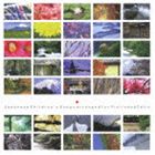 JAPANESE CHILDREN｀S SONGS ARRANGED FOR VIOLIN AND CELLO詳しい納期他、ご注文時はお支払・送料・返品のページをご確認ください発売日2014/2/5江口有香 江口心一（vn／vc） / ジャパニーズ チルドレンズ ソング・ヴァイオリン＆チェロ（Blu-specCD）JAPANESE CHILDREN｀S SONGS ARRANGED FOR VIOLIN AND CELLO ジャンル クラシックその他 関連キーワード 江口有香 江口心一（vn／vc）1990年代後半に徳間ジャパンにて国内制作していた邦人演奏家の作品を、Blu−specCDにてリリース！本作は2001年4月25〜27日、三鷹市芸術文化センターにて録音された、ヴァイオリニスト・江口有香、チェリスト・江口心一による作品。　（C）RSBlu-specCD／録音年：2001年4月25〜27日／収録場所：三鷹市芸術文化センター収録曲目11.春がきた(2:13)2.さくらI(1:11)3.さくらII(1:11)4.めだかの学校I(1:13)5.かたつむり(1:48)6.茶つみ(1:06)7.子守歌(2:36)8.海(4:28)9.夕やけこやけ(1:54)10.うさぎ(2:16)11.かごめ(3:13)12.赤とんぼ(3:09)13.七つの子(7:00)14.通りゃんせ(2:12)15.お正月(0:50)16.越天楽(3:21)17.寒気(1:21)18.めだかの学校II(1:33)19.ふるさと(2:46) 種別 CD JAN 4988008145649 収録時間 45分30秒 組枚数 1 製作年 2013 販売元 徳間ジャパンコミュニケーションズ登録日2013/11/25