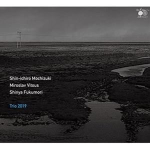 望月慎一郎（p） / Trio2019 [CD]