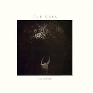 輸入盤 CALL / INTO THE WOODS （COLORED） [LP]