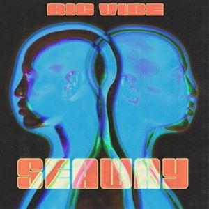 Seaway / Big Vibe [CD]