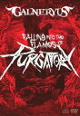GALNERYUS／FALLING INTO THE FLAMES OF PURGATORY（通常版／DVD＋2CD） DVD