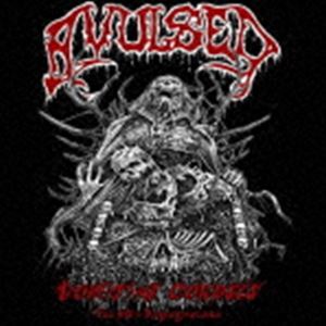 Artist Name: N - アブルセド / ボミッティング・コープス：ザ・90’S・レギュレーションズ（4CDボックス） [CD]