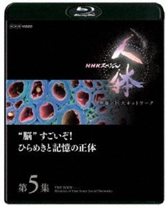 NHKスペシャル 人体 神秘の巨大ネットワーク 第5集 ”脳”すごいぞ ひらめきと記憶の正体 Blu-ray