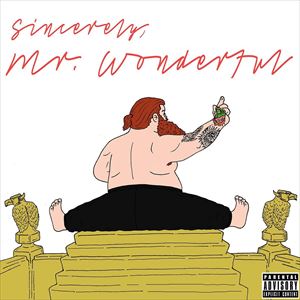 ͢ ACTION BRONSON / MR WONDERFUL [CD]