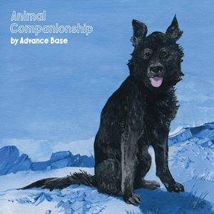 輸入盤 ADVANCE BASE / ANIMAL COMPANIONSHIP [CD]