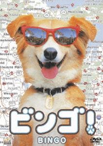 ビンゴ! [DVD]