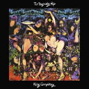 輸入盤 TRAGICALLY HIP / FULLY COMPLETELY 30TH ANNIVERSARY DELUXE VINYL [3LP+BLU-RAY...