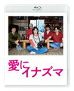 アイニイナズマ詳しい納期他、ご注文時はお支払・送料・返品のページをご確認ください発売日2024/4/3関連キーワード：マツオカマユ愛にイナズマアイニイナズマ ジャンル 邦画コメディ 監督 石井裕也 出演 松岡茉優窪田正孝池松壮亮若葉竜也仲野太賀折村花子は夢だった映画監督デビューを目前に控え気合いに満ちていた。そんなある日、彼女は魅力的だが空気を読めない男性・舘正夫と運命的な出会いを果たす。ようやく人生が輝き始めたかに思えた矢先、花子は卑劣なプロデューサーにだまされ全てを失ってしまう。正夫に泣き寝入りせずに闘うことを宣言し、花子は10年以上音信不通だった“どうしようもない家族”のもとを訪れ、大切な夢を取り戻すべく反撃を開始する。2023年10月より公開された映画”『愛にイナズマ』”。今の社会を予見したかのような”アフターコロナ”の“現代”が舞台。社会の理不尽さに打ちのめされた恋人同士の花子と正夫が、10年ぶりに再会したどうしようもない家族の力を借りて反撃の狼煙を上げる、愛と希望とユーモアに満ちた痛快なストーリー。しかし、そんなどうしようもない家族が抱える“ある秘密”が明らかになった時、物語は思いもよらぬ方向へと進んで行く…。『舟を編む』をはじめ、発表する作品がいずれも国内外で高く評価されてきた石井裕也が、監督史上最もポップ＆ハッピーなタッチで描く。膨大なセリフ量と喜劇要素を随所に散らしながら、“今描くべき物語”として圧倒的熱量で練り上げられた石井監督オリジナル脚本。キャスト陣は、W主演の松岡茉優と窪田正孝をはじめ、池松壮亮、若葉竜也、仲野太賀など、高い人気と確かな実力を伴った日本映画界をけん引する俳優陣が勢ぞろいしている。本作は、DVD＆Blu-ray。本編に加え特典映像も収録。特典映像メイキング／イベント映像集／予告集関連商品2023年公開の日本映画松岡茉優出演作品窪田正孝出演作品池松壮亮出演作品仲野太賀出演作品 種別 Blu-ray JAN 4907953223714 収録時間 140分 カラー カラー 組枚数 1 製作年 2023 製作国 日本 音声 日本語DTS-HD Master Audio（5.1ch） 販売元 ハピネット登録日2024/01/12