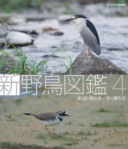 Blu-ray 新 野鳥図鑑 第4集 水辺に棲む鳥／渚に棲む鳥 [Blu-ray]