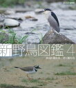 詳しい納期他、ご注文時はお支払・送料・返品のページをご確認ください発売日2009/3/27Blu-ray 新 野鳥図鑑 第4集 水辺に棲む鳥／渚に棲む鳥 ジャンル 趣味・教養動物 監督 出演 日本で見られる野鳥を種別ごとに区切り、全379種類にも及ぶ野鳥の生態を紹介する作品。サギ科・トキ科・ツル科・クイナ科など水辺に生息する鳥と、チドリ科・シギ科など渚に生息する鳥を収録した第4巻。封入特典リーフレット 種別 Blu-ray JAN 4988066163715 収録時間 61分 カラー カラー 組枚数 1 製作年 2008 製作国 日本 音声 （ステレオ） 販売元 NHKエンタープライズ登録日2009/01/28