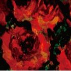 Artist Name: Sa Line - 高橋クニユキ / REMIXED VOL.2 [CD]