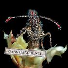 輸入盤 GANG GANG DANCE / EYE CONTACT [CD]