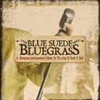 輸入盤 CRAIG DUNCAN / BLUE SUEDE BLUEGRASS [CD]