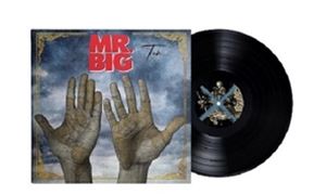 輸入盤 MR. BIG / TEN （JAPAN EDITION） [LP]