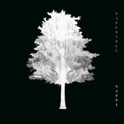 輸入盤 PAPERTREE / NAPPY （EP） [CD]