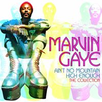 輸入盤 MARVIN GAYE / AIN’T NO MOUNTAIN HIGH ENOUGH ： THE COLLECTION [CD]