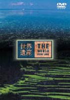 �����仺 �ե���ԥ��� [DVD]