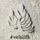 CHAGE＆ASKA / 風舞（初回生産限定盤／SHM-CD） [CD]