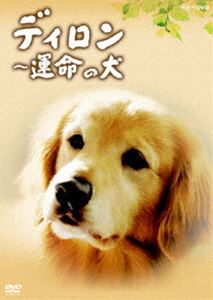 �ǥ����� ��̿�θ� [DVD]