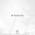 Artist Name: D - 輸入盤 WATER LIARS / WYOMING [CD]