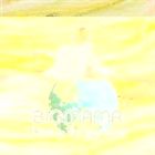 BIGMAMA / Dowsing For The Future [CD]