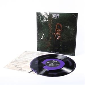 艺人名: H - 輸入盤 CASTLE RAT / INTO THE REALM （PURPLE AND BLACK） [LP]