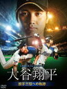 北海道日本ハムファイターズ 大谷翔平 投手三冠への軌跡 [DVD]