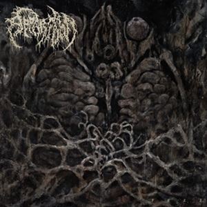 輸入盤 APPARITION / FEEL [CD]