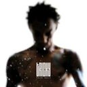 輸入盤 TRICKY / FALSE IDOLS LP