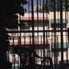 セクション25 / ダーク・ライト [CD]