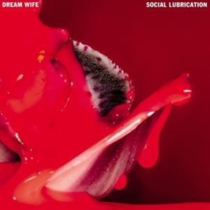 輸入盤 DREAM WIFE / SOCIAL LUBRICATION [CD]