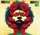 A INCOGNITO / AMPLIFIED SOUL [CD]