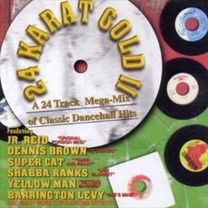 輸入盤 VARIOUS / 24 KARAT GOLD DANCEHALL MEGAMIX 2 [CD]
