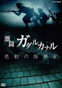エヌエイチケイスペシャルゲキトウガダルカナルヒゲキノシキカン詳しい納期他、ご注文時はお支払・送料・返品のページをご確認ください発売日2020/4/24関連キーワード：ドキュメントNHKスペシャル 激闘ガダルカナル 悲劇の指揮官エヌエイチケイスペシャルゲキトウガダルカナルヒゲキノシキカン ジャンル 趣味・教養ドキュメンタリー 監督 出演 太平洋戦争の転換点となったガダルカナルの戦い。日本陸軍の精鋭部隊916名が、1万人を超えるアメリカ海兵隊に戦いを挑み、全滅した。指揮官の一木清直大佐は、無謀な突撃作戦にこだわり、部下の命を奪ったとして非難を浴びてきた。果たしてそれは真実なのか?今回、アメリカで膨大な戦闘記録を発見。一木支隊の知られざる激闘の実態をドローンによる地形調査を交えて、高精細な三次元のCGで復元する。関連商品NHKスペシャル一覧NHKドキュメンタリー戦争 種別 DVD JAN 4988066232831 収録時間 49分 カラー カラー 組枚数 1 製作年 2019 製作国 日本 音声 DD（ステレオ） 販売元 NHKエンタープライズ登録日2020/01/31
