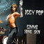 Iggy Pop / GIMME SOME SKIN - THE 7INCH COLLECTION [CD]